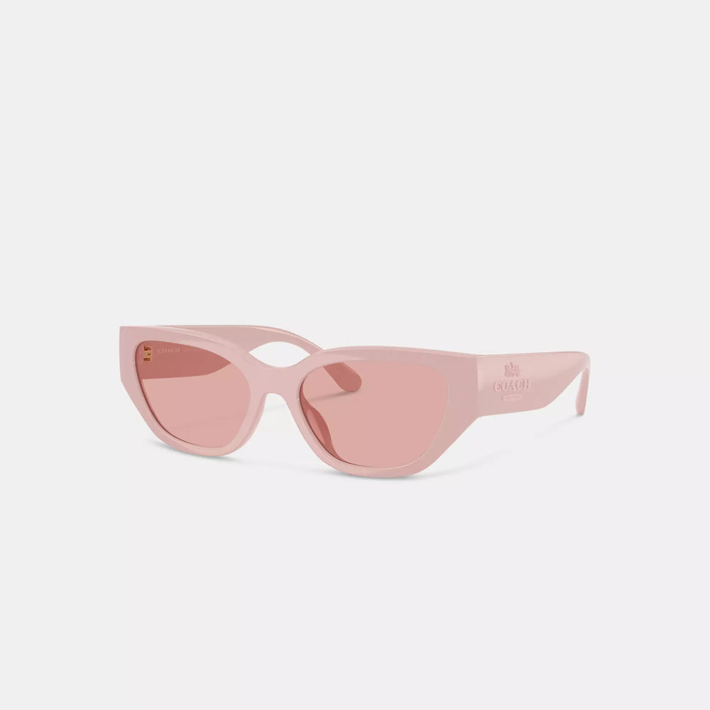Coach Outlet Geometric Cat Eye Sunglasses | ShopSimon display picture 1