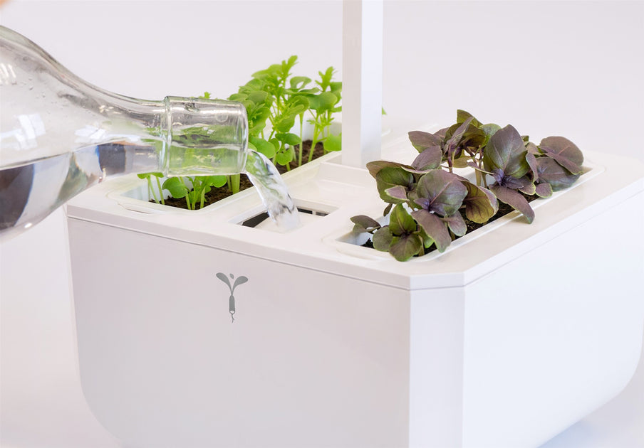 Shop Veritable Indoor Moestuin Véritable® CLASSIC op voor 0.0 N Shop Veritable Indoor Moestuin Véritable® CLASSIC op voor 0.0 N