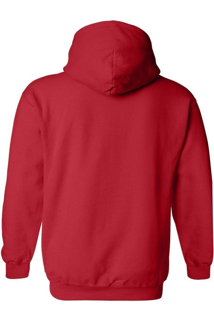 Gildan DC Comics Flash Adult Pullover Hoodie Red Large 4