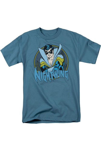 Gildan DC Comics Nightwing T-Shirt Blue Large 2
