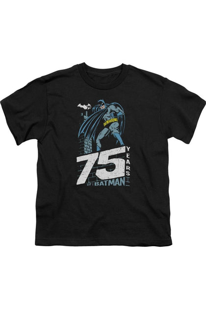 Gildan Batman Rooftop Short Sleeve Tee Black Small 2
