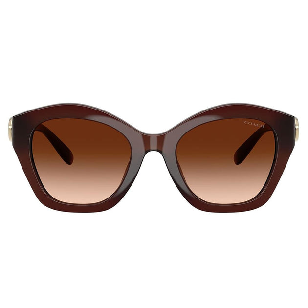 Coach HC 8421U 584174 Irregular Sunglasses Milky Hazelnut 54mm 3
