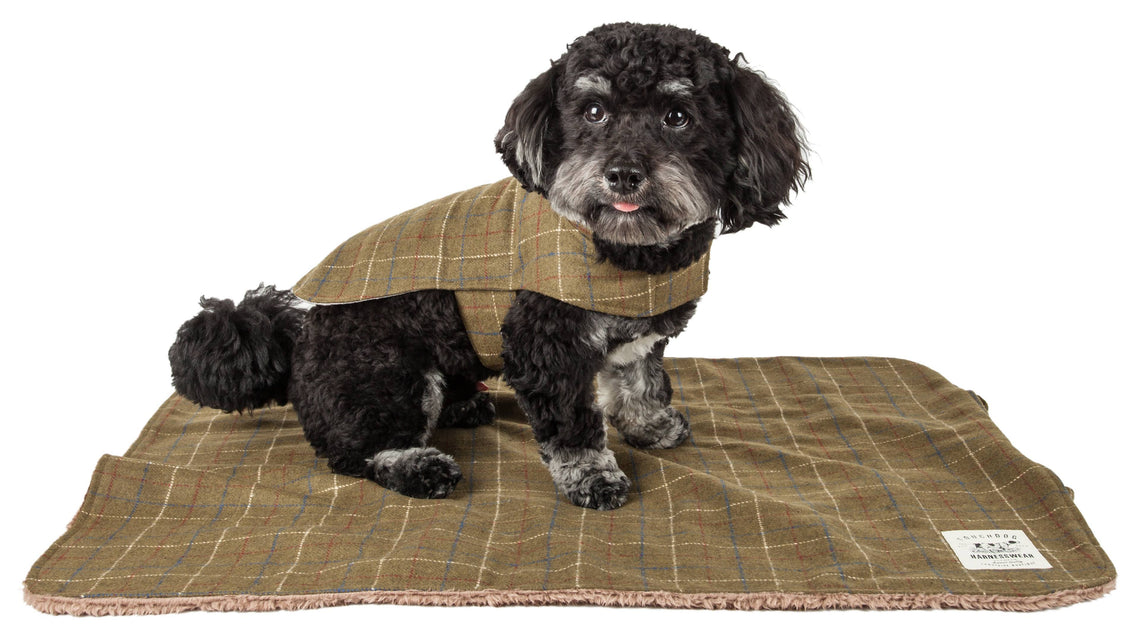 Touchdog 2-In-1 Windowpane Plaid Dog Jacket and Reversible Mat Green Large 4