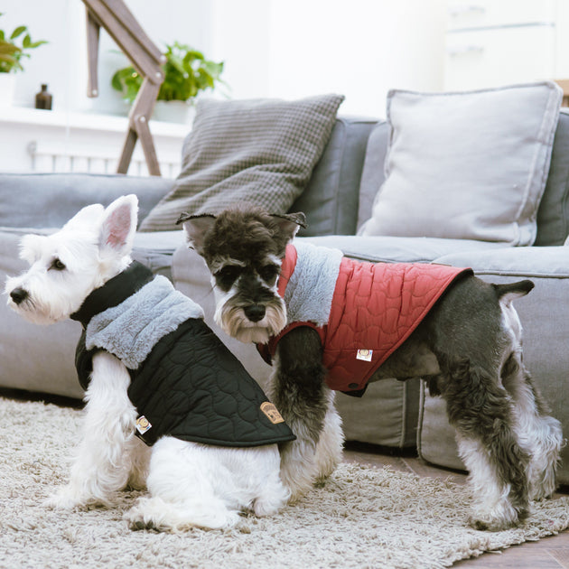 Touchdog Furrost-Bite Dog Jacket Green Large 4