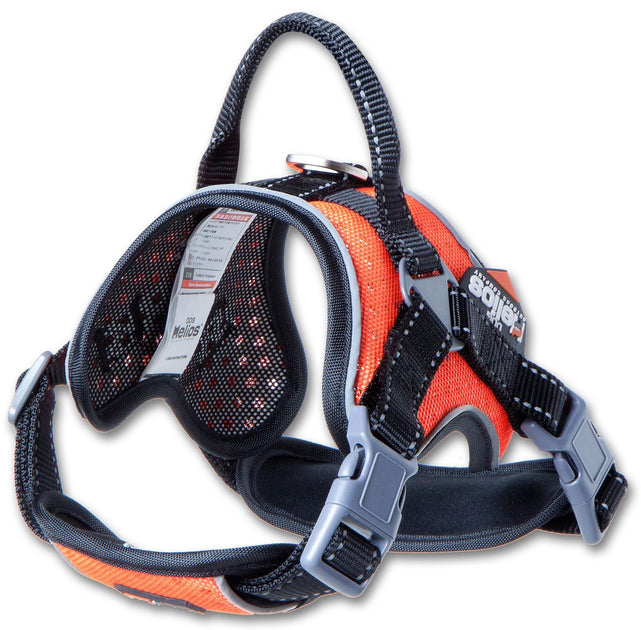 Dog Helios Scorpion Hundegeschirr Orange Large 2