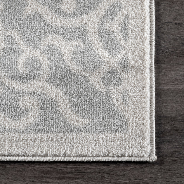 nuLOOM Jaime Trellis Area Rug 4
