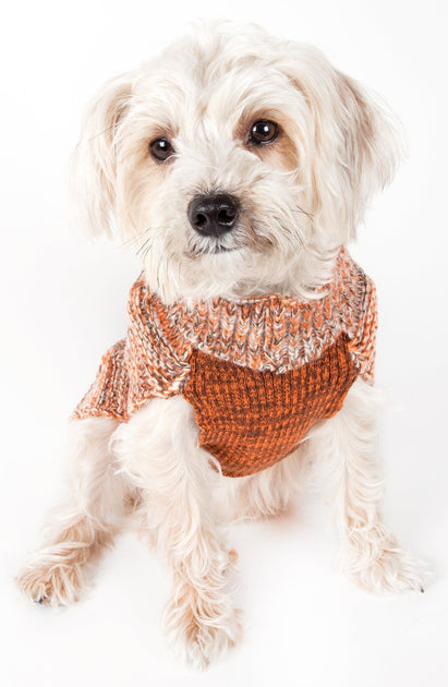 Pet Life Royal Bark Dog Sweater Multi Medium 3