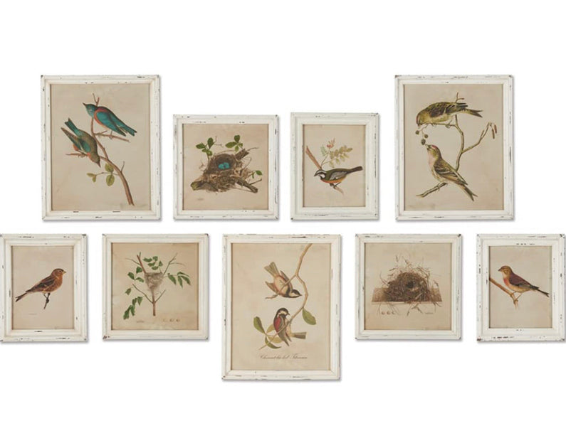 Napa Home & Garden Aviary Bird Print Set 2