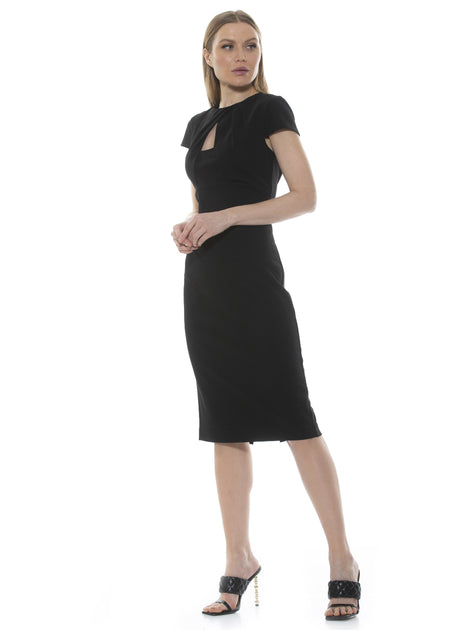 Alexia Admor Janine Midi Dress Brown Large 3