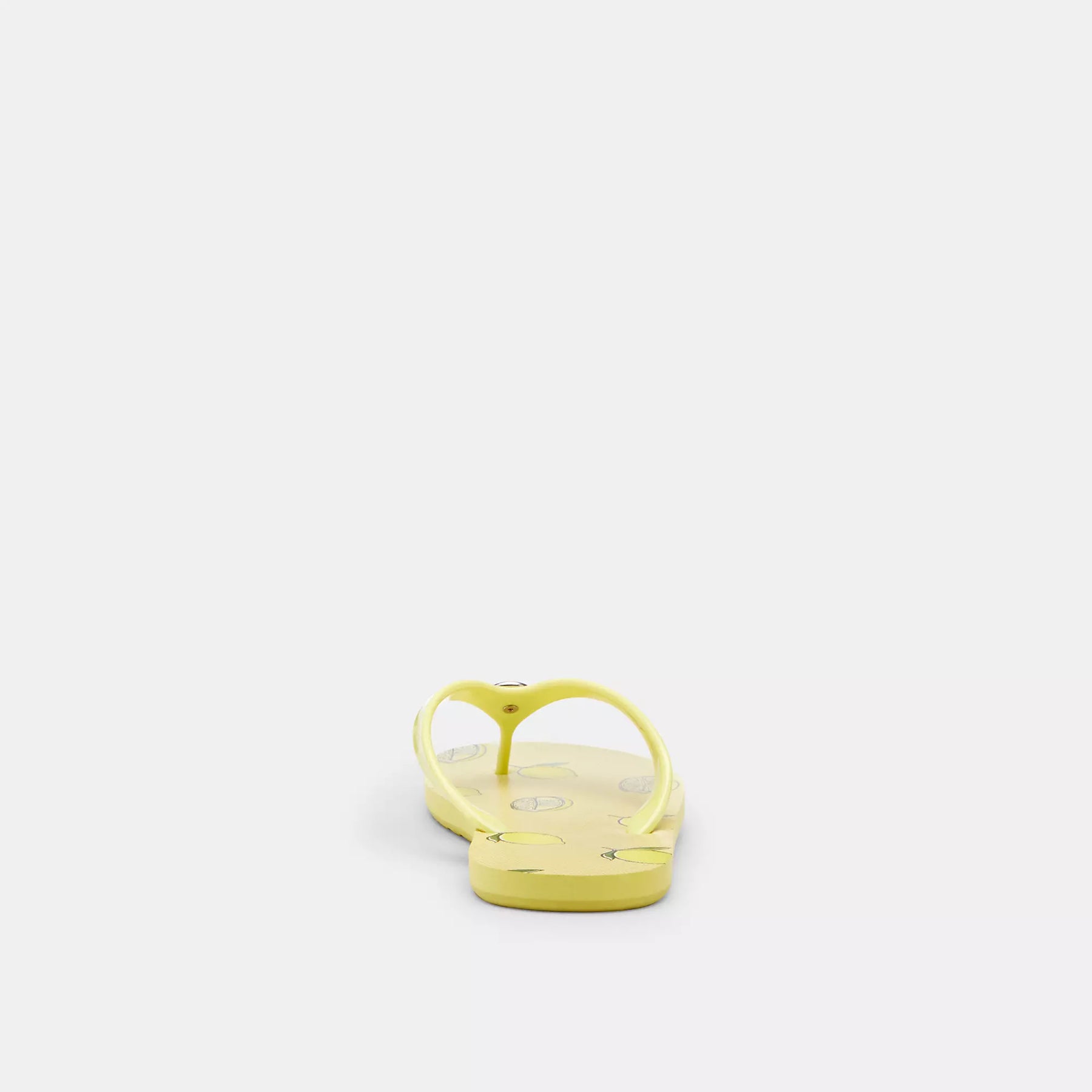 【限定】COACH ゼイン フリップ フロップ・フルーツ プリント Coach Outlet Zayn Flip Flop With Fruit Print | ShopSimon