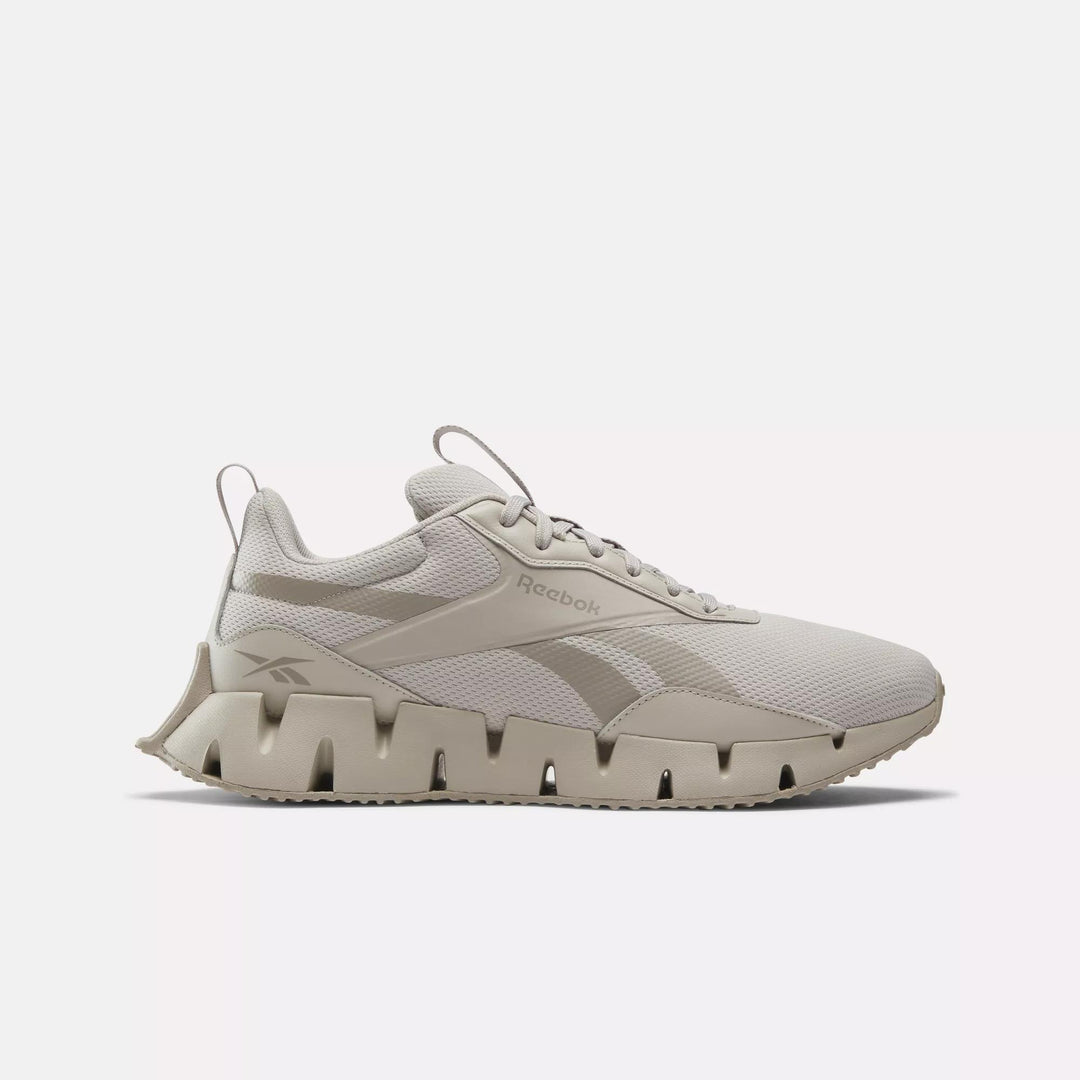 Reebok Zig Dynamica STR Shoes | ShopSimon