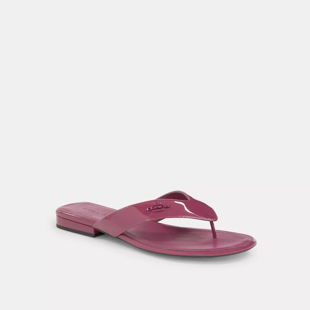 Coach Outlet Bridgette Sandal | ShopSimon