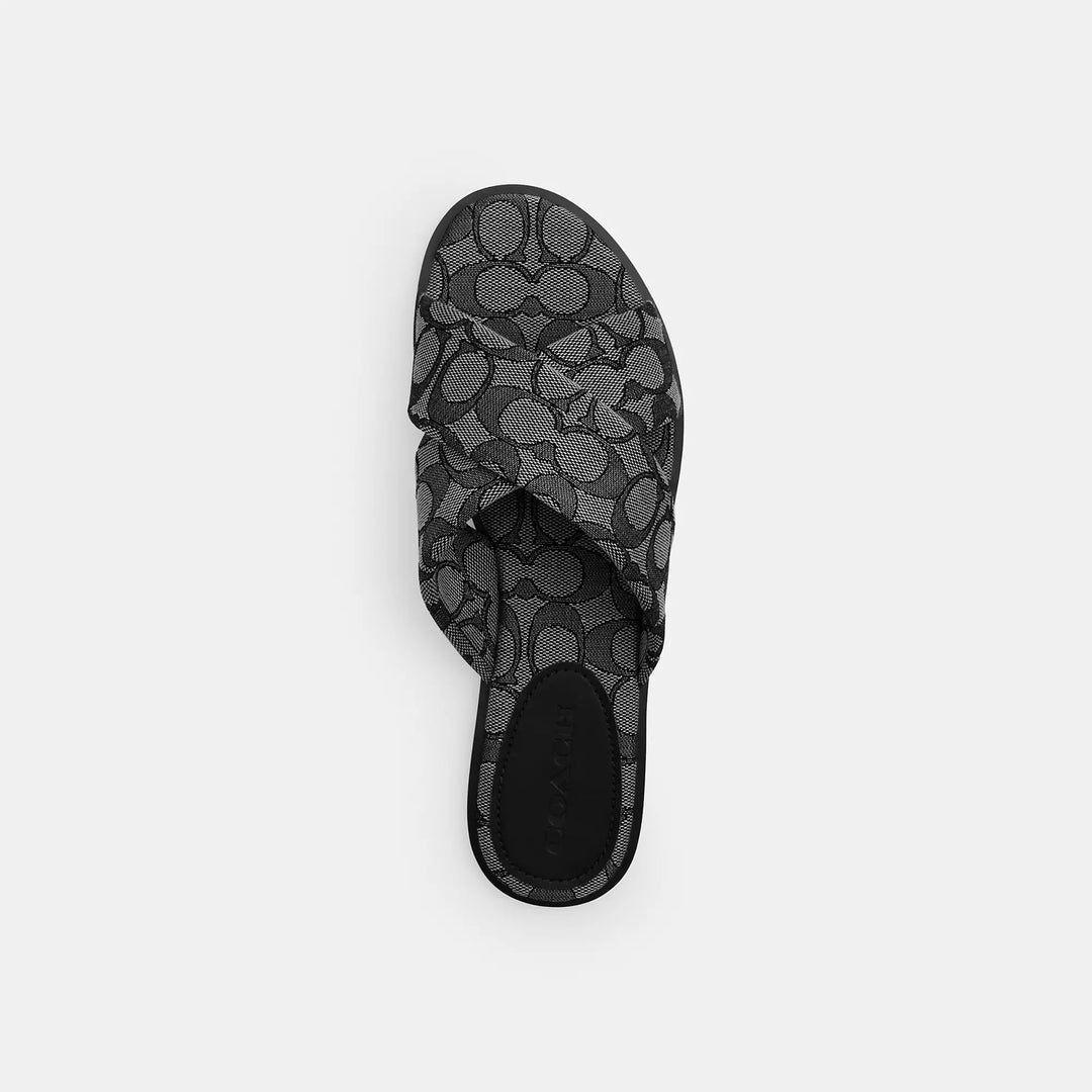 【COACH】Link Criss クロスサンダル 在庫確認下さい  CAP62 COACH® Outlet | Link Criss Cross Sandal