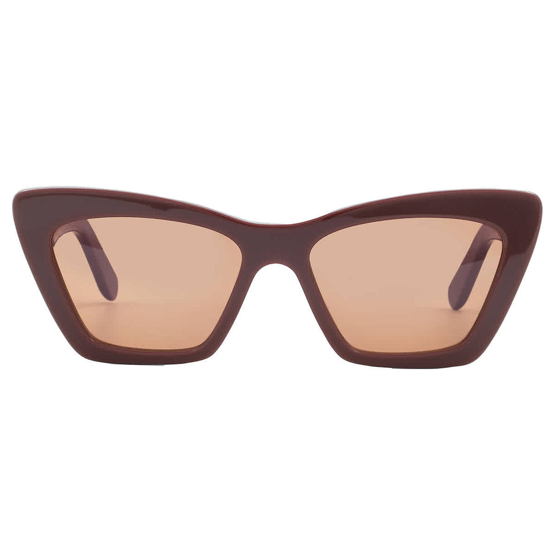 Salvatore Ferragamo サングラス ピンク ブラウン⭐︎美品 Salvatore Ferragamo Pink Cat Eye Ladies Sunglasses Sf929s 209 55