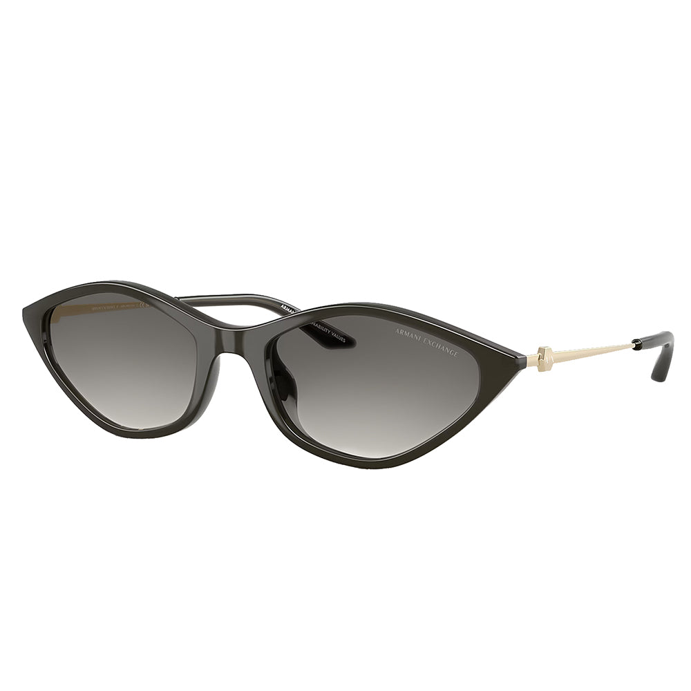 宗　0507 Armani Exchange™ AX4132SU Irregular Sunglasses | EyeOns.com