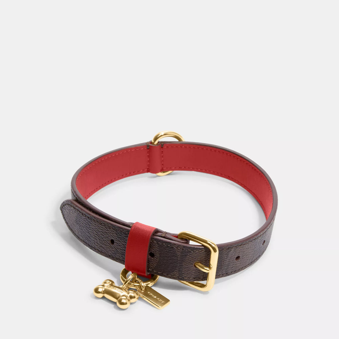 Coach Outlet Boxed Medium Pet Collar In Signature Canvas ShopSimon