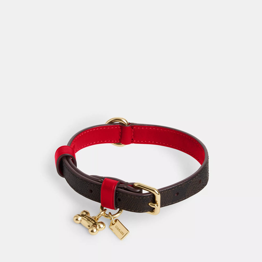 Coach Outlet Boxed Small Pet Collar In Signature Canvas | ShopSimon