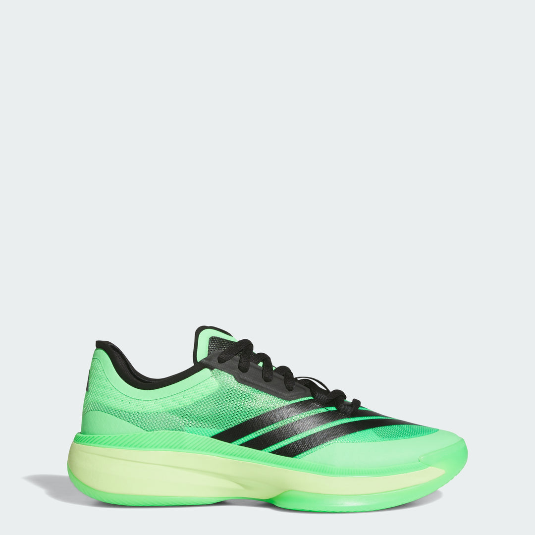 シューズ(男性用) adidas ADIZERO Select 3.0 アディダス（adidas）（メンズ、レディース）バスケットシューズ