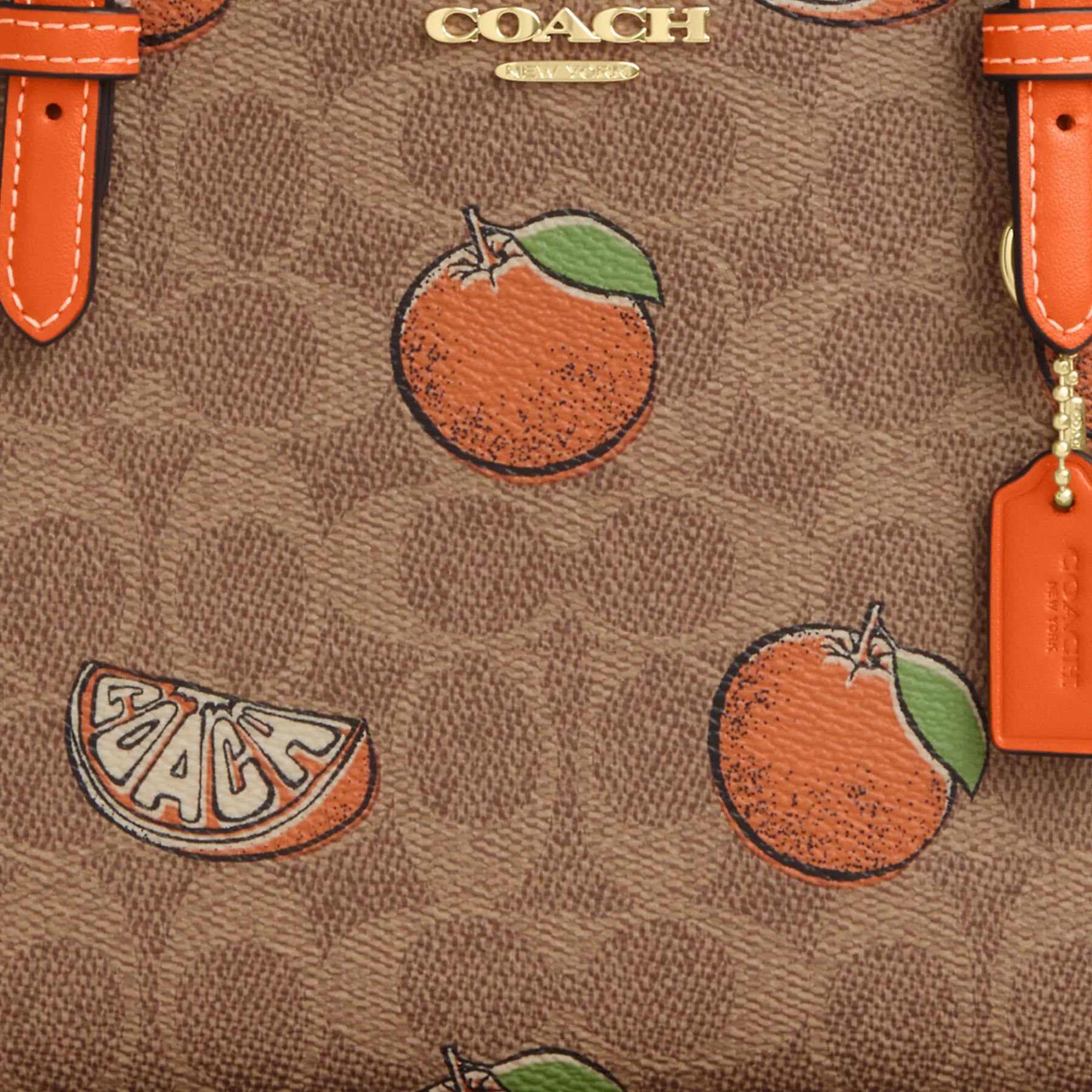 Coach Outlet Mollie Tote Bag 25 In Signature Canvas With Coach Outlet Mollie Tote Bag 25 In Signature Canvas With