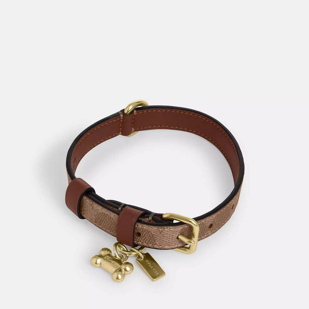 Coach Outlet Boxed Small Pet Collar In Signature Canvas | ShopSimon