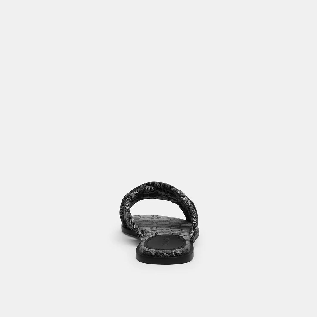 【COACH】Link Criss クロスサンダル 在庫確認下さい  CAP62 Link Criss Cross Sandal CHALK