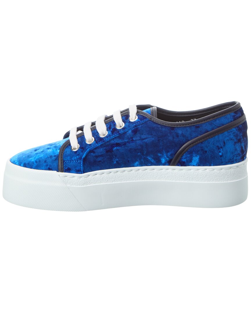 Sergio Rossi Twenty Buckle Velvet Platform Sneaker | ShopSimon