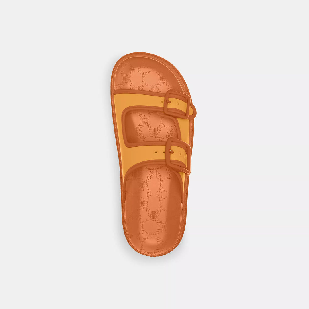 【COACH】Lainey Sandal☆レイニー・サンダル COACH® Outlet | Lainey Sandal