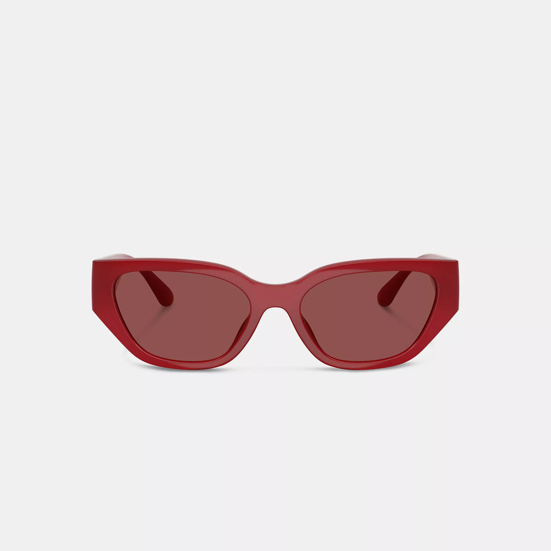 Coach Outlet Geometric Cat Eye Sunglasses | ShopSimon display picture 2
