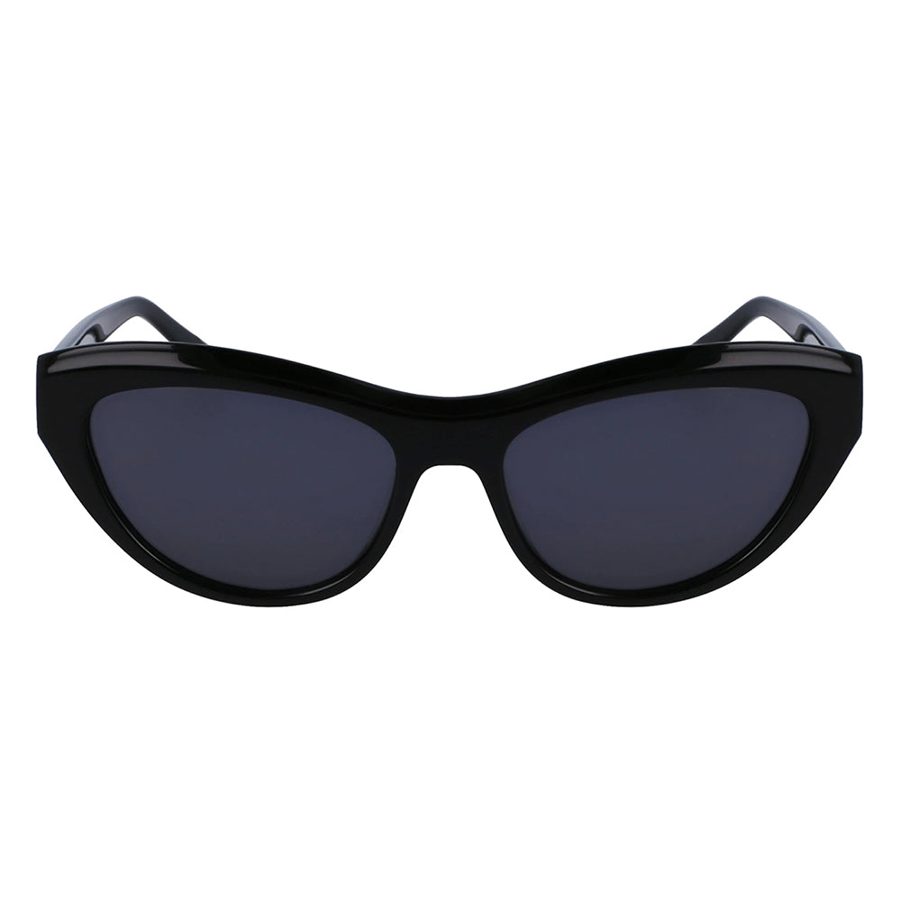 Salvatore Ferragamo SF 1103S Plastic Cat-Eye Sunglasses Salvatore Ferragamo SF 1103S 600 Womens Cat-Eye Sunglasses  main image 2