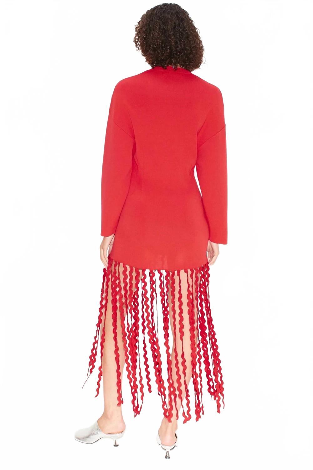 SIMON MILLER Wallis Knit Fringe Dress In Red