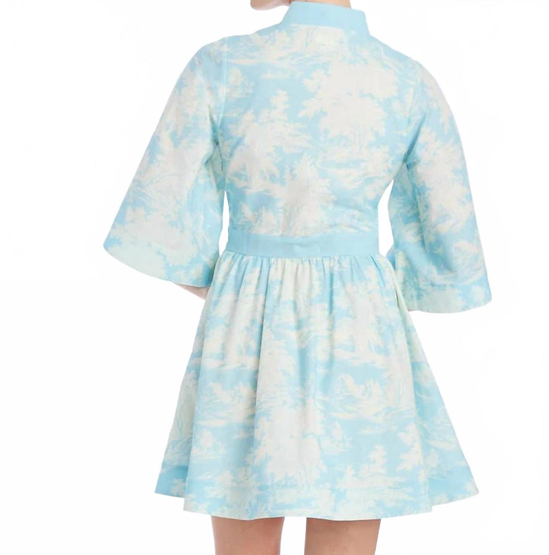 knee length dresses for ladies Mestiza New York Carmen Mini Dress In Powder Toile
