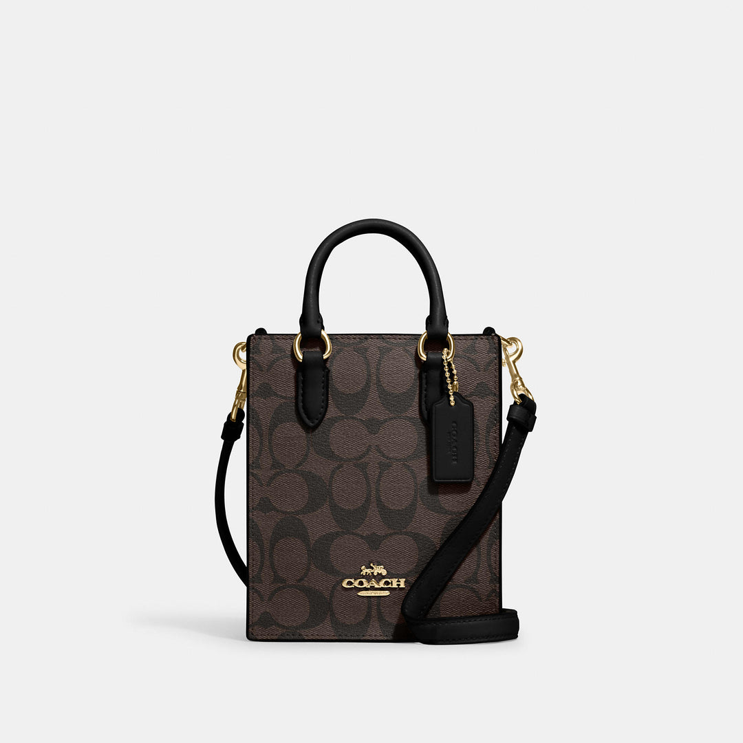 Coach North South tote bag 2024