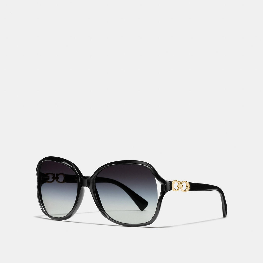 Coach Outlet COACH Kissing C Sunglasses | ShopSimon display picture 3