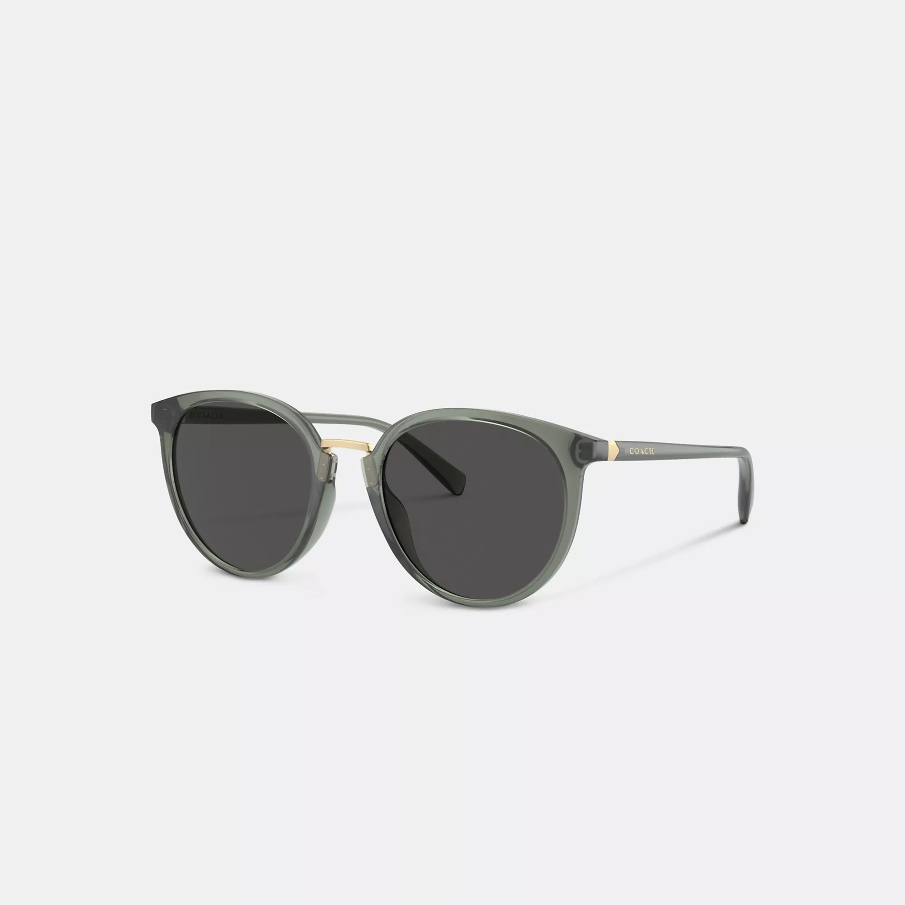 Coach sunglasses factory outlet sale