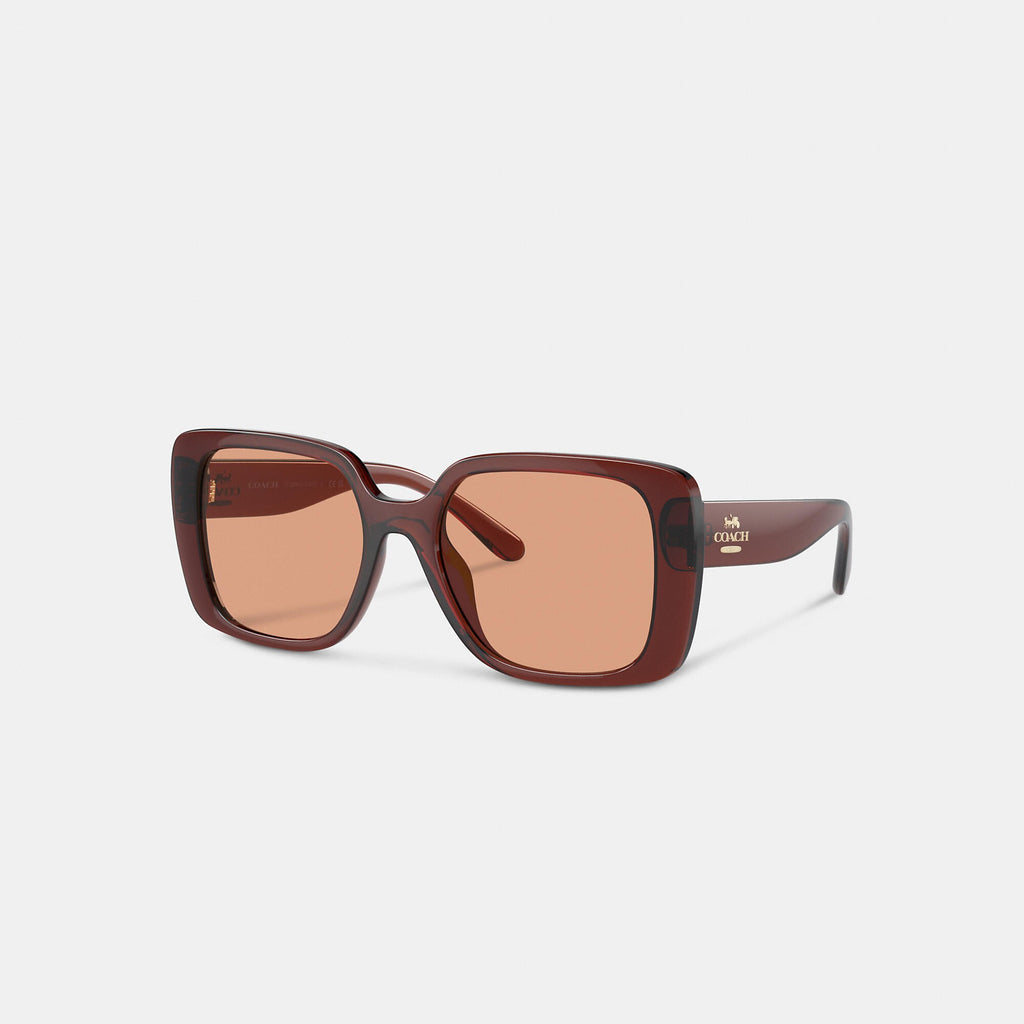 Coach Outlet Oversized Square Sunglasses ShopSimon