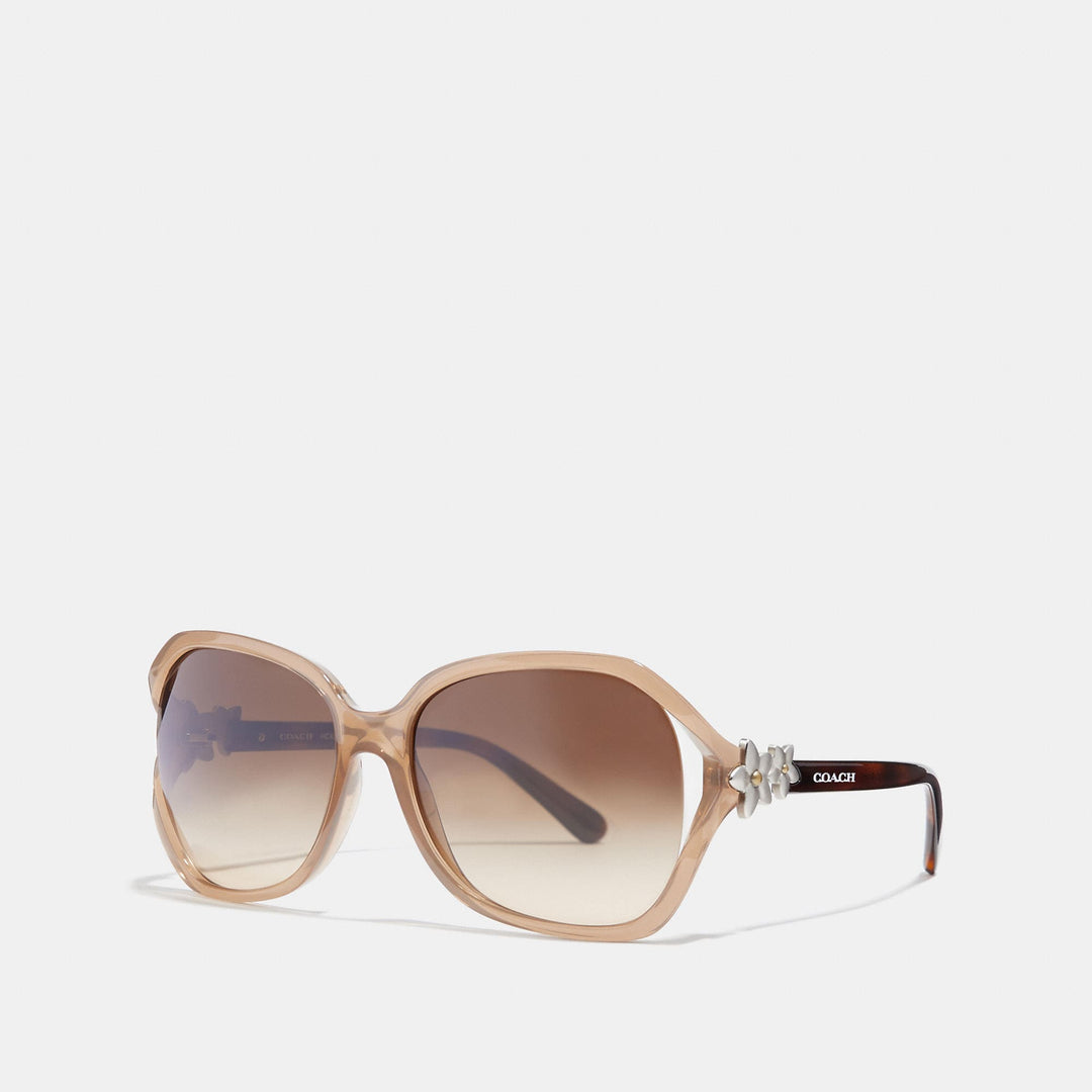 Coach sunglasses outlet store online best sale