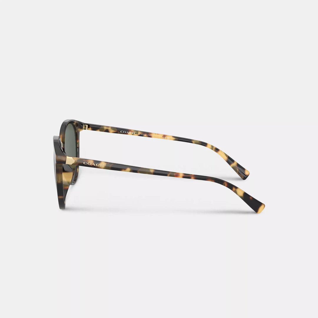 Coach Outlet Hangtag Round Sunglasses | ShopSimon display picture 1