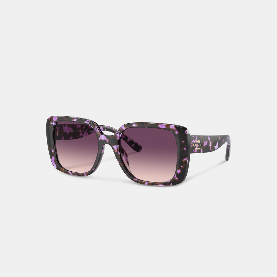 Coach factory outlet online sunglasses online